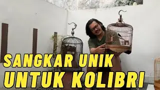 SANGKAR UNIK UNTUK BURUNG KOLIBRI❗️#KicauVlogBaliEpisode48 #dewatasamudra