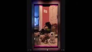 Beanie boo music video-Vanilla