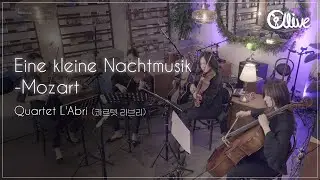 [alive]콰르텟 라브리(Quartet L'Abri) - Eine kleine Nachtmusik Mozart l 100%라이브 l 귀정화 연주 🎻