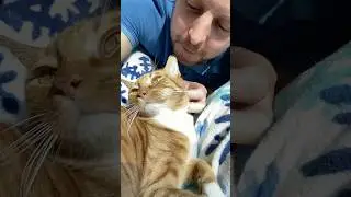 Cats Make Life Better!