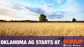Wheat Update - Leaf Rust Spotted Early (1/23/21)