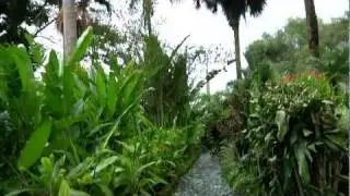 Mexico Tourism Summary (Short Version)