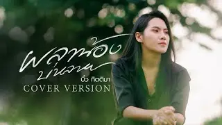ผลาน้องบ่หลาย - บิ๋ว กิตติมา【COVER VERSION】