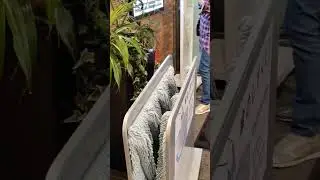 #япония