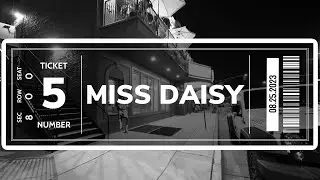 Gatti800 - Miss Daisy