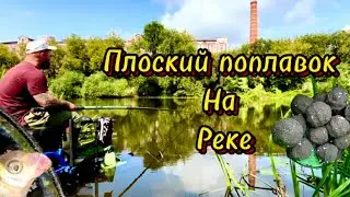 Рыбалка на Клязьме. Ловля на плоский поплавок #рыбалка