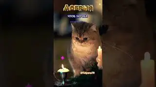 Добрый вечер! Пусть не ведает сердце усталости, и пусть будет душа молода⛵🪂🧸стх.в видео В.Гайдарова.