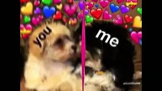 I fuckin' love you
