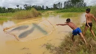 Awesome! 2boys Use Net For Fishing - The Best Of Net Fishing