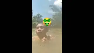 Adventure In Secret Island (Milk Tea River)