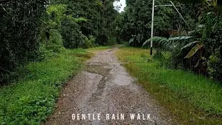 Gentle Rain Walk in a Remote Forest Village - Relaxing Rain Ambience
