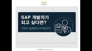 #6. SAP 개발자, 어디서부터 시작할까? | ABAPer의 세계 완전 정리 