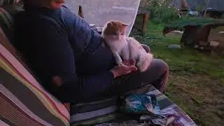 Козовника больше нет/Жизнь на цветочной ферме