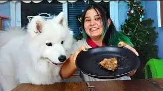“I Ate My Dog’s Favorite Food… Her Reaction Was Priceless!”