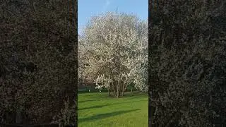 мира всем. Харьков ❤️