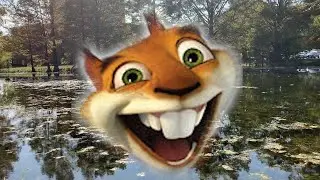 Somewhere Over The Hedge | Official Music Video |