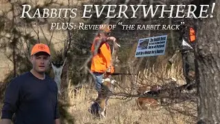 Virginia Rabbit Hunt with Beagles (LOTS of jumps on camera!)