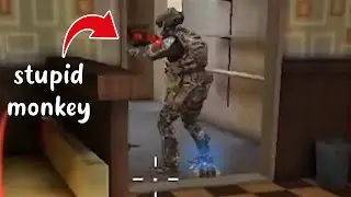 Stupid Monkey