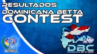 Resultados del Caribbean betta contest
