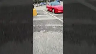 3.8 firebird?