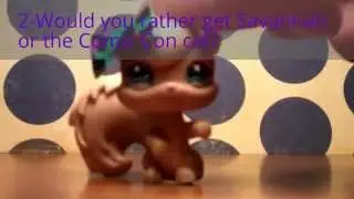 LPS-This or That