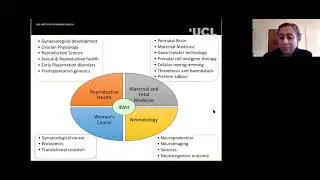 MSc Prenatal Genetics & Fetal Medicine 2020, Sioban Sengupta