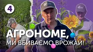 Внесли гербіциди поза регламентом. Що отримали? | Агрономе, ми вбиваємо врожай!