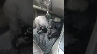 #крохаорхидейка