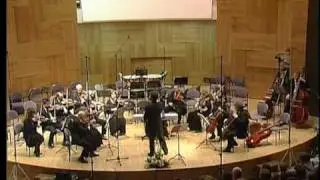 CPE Bach Flute Concerto in d minor (3rd mvt)