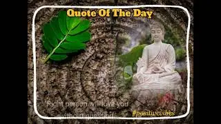 Karma Quote About Life | Buddha Quote |Quote of the day in English #karma #quote #buddha #lifequotes