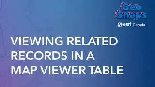 Viewing Related Records in a Map Viewer Table