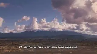 Абу Аус  Сура 75 «Воскресение»