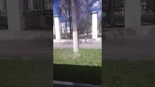 главный дом и застольное здание