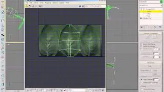 26A- Modeling Plants