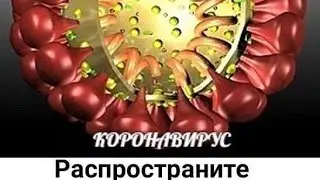 Корона-Вирус попал в Татарстан