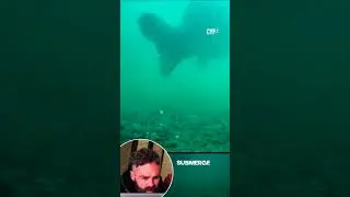 1 DAY TO GO ⏰️  GAZ FAREHAM does UNDERWATER!