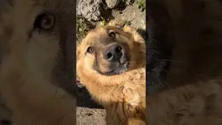 Пузан похудел ? Неет 😂 