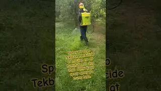 #1Tekburn