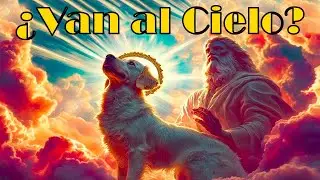 ¿existe un cielo para mascotas? 🐱🐶 ¡descubre su destino! 🌈
