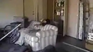 Cody Eats It