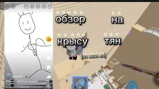 обзор на Крысу тян)