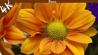 Spring 4K (Demo) - 4K Central