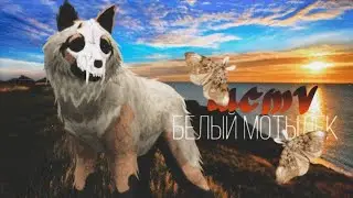 Wcmv Белый Мотылёк