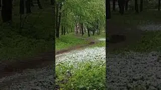 May snow Майский снег