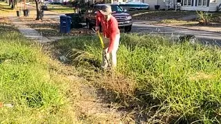 This Neighborhood EYESORE was OUT OF CONTROL!