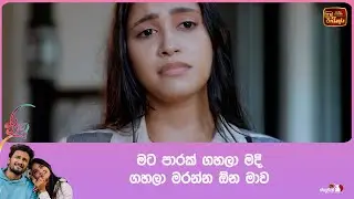 මට පාරක් ගහලා මදි, ගහලා මරන්න ඕන මාව