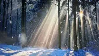 Christmas Music - Songs of Joy