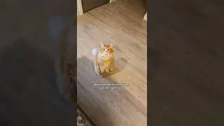 He had those magical mittens poised and ready 😅 