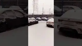 Вологду завалило❄️❄️❄️30 ноября 2021 г.