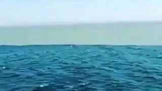 26 сентября 2020 г.